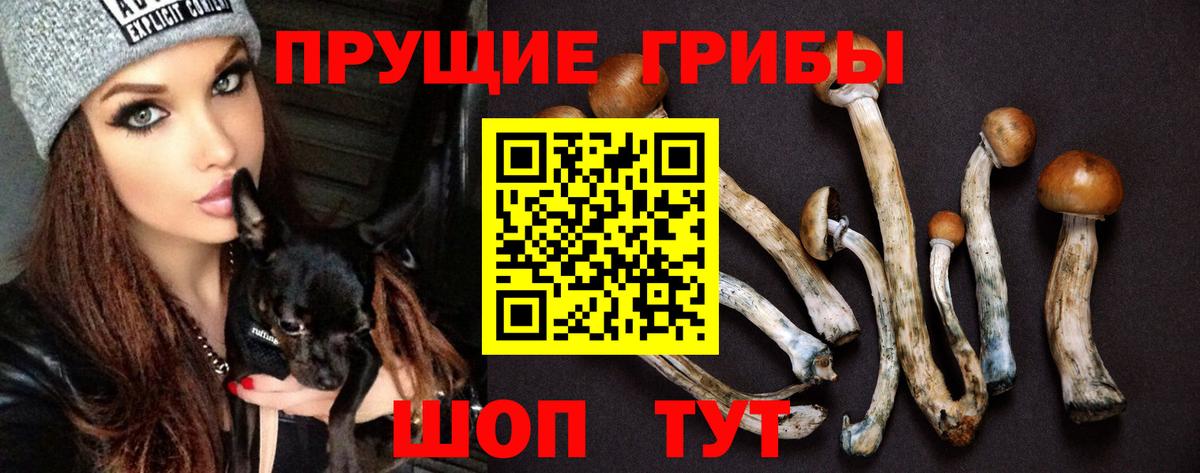 Галлюциногенные грибы MAGIC MUSHROOMS Елабуга